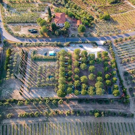 Agricamping Poggio Ai Pini Wine Camping Certaldo Bagian luar foto