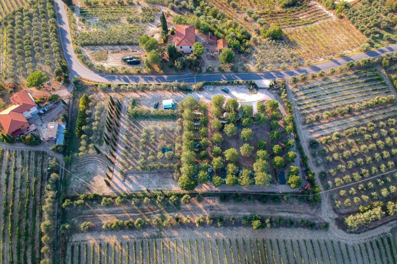 Agricamping Poggio Ai Pini Wine Camping Certaldo Bagian luar foto