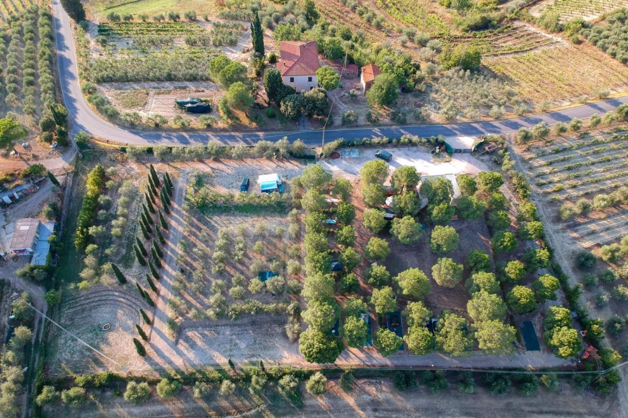 Agricamping Poggio Ai Pini Wine Camping Hotel Certaldo Bagian luar foto