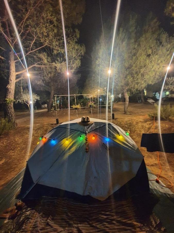 Agricamping Poggio Ai Pini Wine Camping Certaldo Bagian luar foto