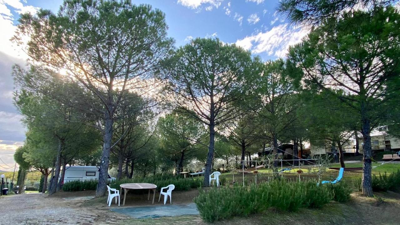 Agricamping Poggio Ai Pini Wine Camping Certaldo Bagian luar foto