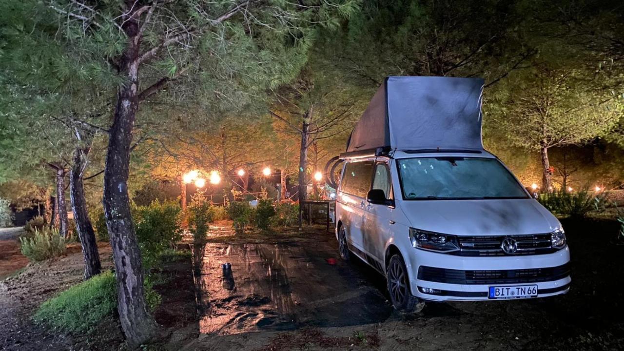 Agricamping Poggio Ai Pini Wine Camping Certaldo Bagian luar foto