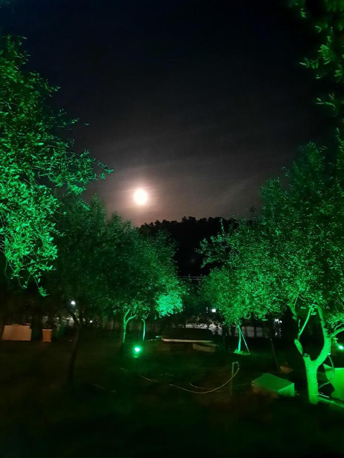 Agricamping Poggio Ai Pini Wine Camping Certaldo Bagian luar foto