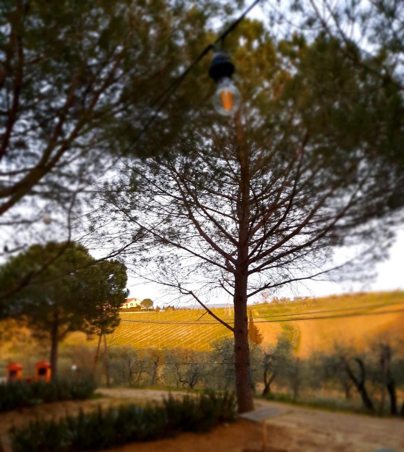 Agricamping Poggio Ai Pini Wine Camping Certaldo Bagian luar foto