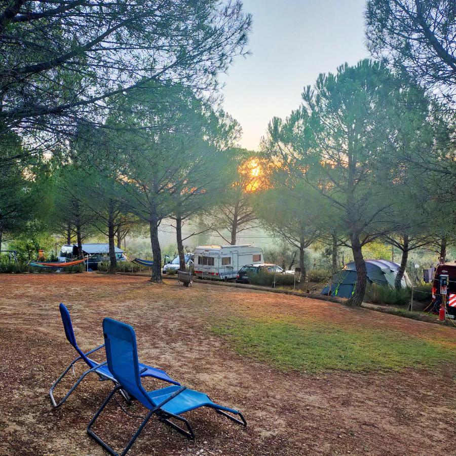 Agricamping Poggio Ai Pini Wine Camping Certaldo Bagian luar foto
