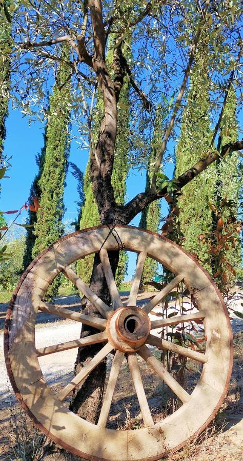 Agricamping Poggio Ai Pini Wine Camping Certaldo Bagian luar foto