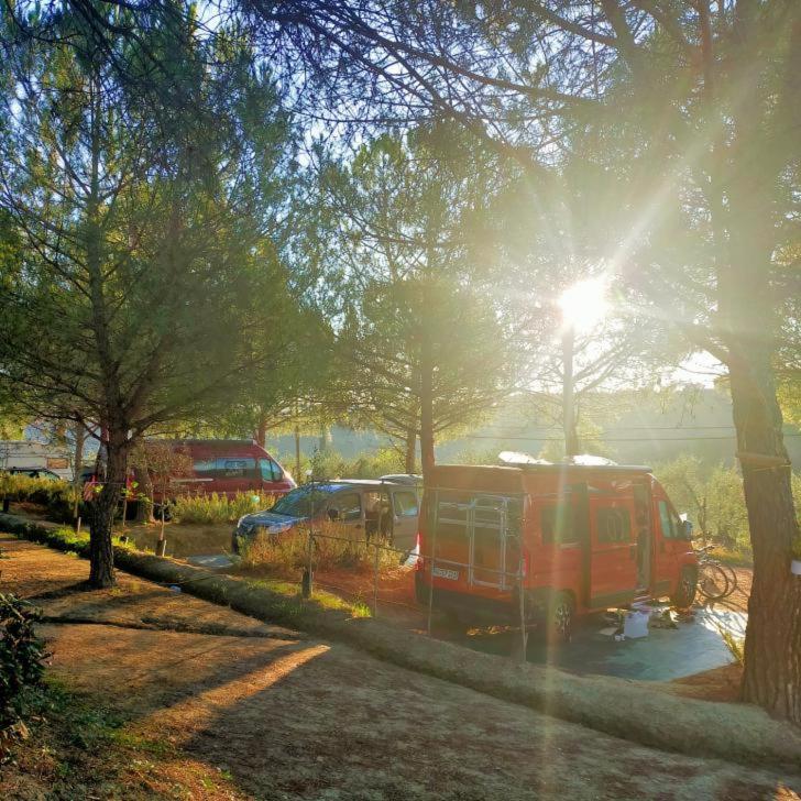 Agricamping Poggio Ai Pini Wine Camping Certaldo Bagian luar foto