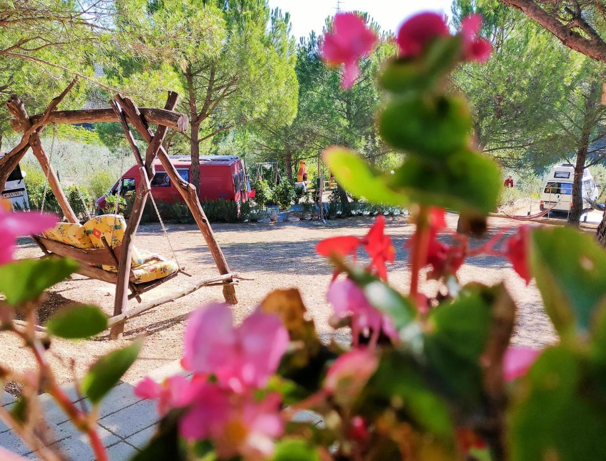 Agricamping Poggio Ai Pini Wine Camping Hotel Certaldo Bagian luar foto