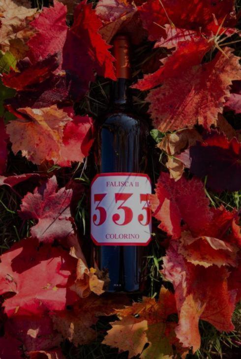 Agricamping Poggio Ai Pini Wine Camping Certaldo Bagian luar foto