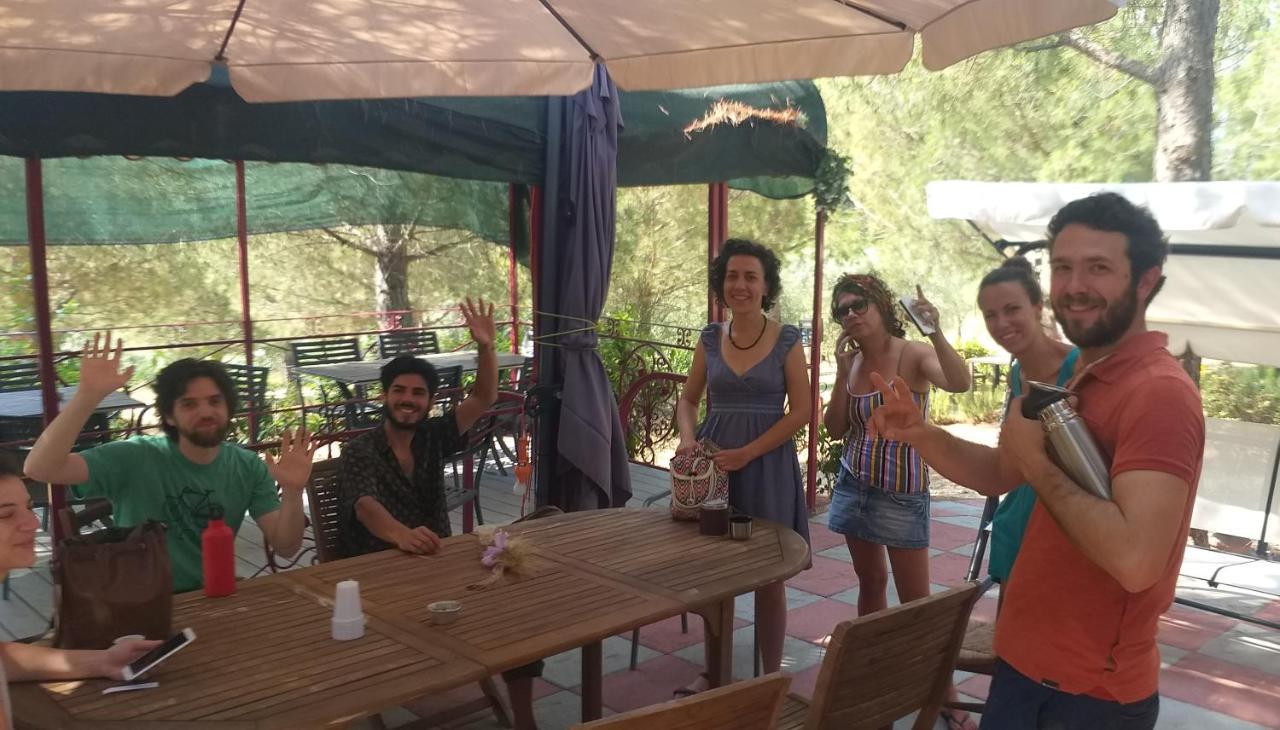 Agricamping Poggio Ai Pini Wine Camping Certaldo Bagian luar foto